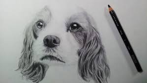 Follow each step carefully and do not skip a step. How To Draw A Realistic Dog With Pencil Step By Step Drawing Art Ideas