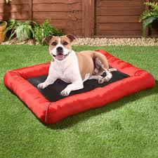 Choose from a wide range of dog beds in uae at best prices. B M S Cooling Mats For Cats And Dogs Are Back In Stock In Time For Summer Proper Manchester
