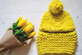 Check spelling or type a new query. A Yellow Knitted Hat And A Snore From Thick Merino Yarn It S A Bouquet Of Yellow Tulips Wrapped In Paper Stock Photo Picture And Royalty Free Image Image 98092533