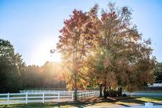 Fall Artisan Market