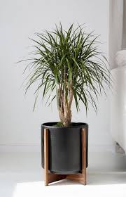 Pagesbusinessesshopping & retailretail companymid century modern planters by modernplanters.com. Large Mid Century Modern Planter Manhattan Plant Stand Plant Pot With Wood Stand 12 Ceramic Pot Mid Century Modern Planter Modern Planters Plant Stand