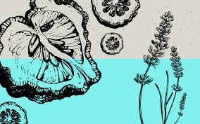 Résultat de recherche d'images pour "les terpènes du cannabis"