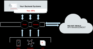 Red Hat 3scale Api Management
