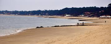 Trouver les numéros de téléphone et adresses des professionnels de votre département ou de votre ville dans l'annuaire pagesjaunes Hotel Bassin Arcachon Pas Cher 6 Adresses A Partir De 43