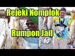 Mancing ikan tipe ini boleh pagi maupun sore hari. Pesta Straight Rumpon Jail Ll Ikan Kakap Baramundi Youtube