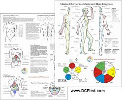 Acupuncture Meridians Chart Pdf Best Picture Of Chart