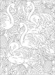 Coloring pages ideas extraordinary flamingo image. Http Www Doverpublications Com Zb Samples 822869 Sample7a Html Animal Coloring Pages Flamingo Coloring Page Coloring Books
