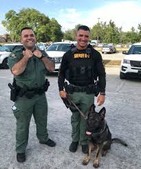Livepd Police Dogs Dog Hero Dog Lady