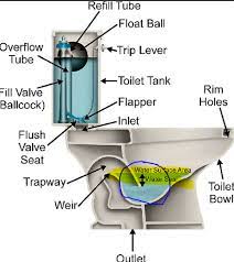 Recently my toilet had been running water longer than normal. Why Is The Water Level So High In Toilet Bowls So As To Interfere With Men S Equipment Dipping In The Water And Making Clean Up More Difficult Quora