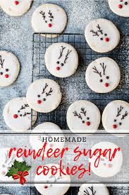 Top 10 food and drinks from around the world. Christmas Reindeer Cookies Foodness Gracious