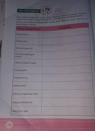 Untuk mendiagnosis fraktur yang terjadi di kaki atau tungkai, dokter akan menanyakan bagaimana cedera terjadi dan gejala apa saja yang anda. Assalamualikum Tolong Kak Besok Dikumpul Kak Jam 06 00 Brainly Co Id