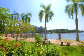 We did not find results for: Maya Apartment Bay View Villas Port Dickson Updated 2021 Prices
