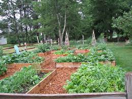 Gravel Mulch Wood Chips Landscaping Mulch Landscaping Garden Paths