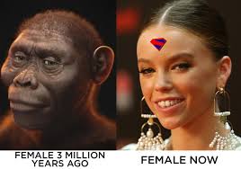 Many Matt Reeves fans agree that Elliot Page would make a great Robin in  The #batman 2