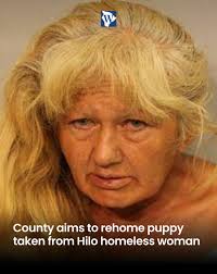 Deborah Goodwin has been selected as the executive director of Kahilu  Theatre following an extensive, nationwide search, the Kahilu Theatre  Foundation board of directors announced recently. Goodwin joins Kahilu  Theatre's Artistic Director