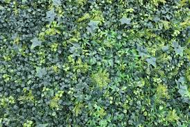 It's the most aesthetically pleasing, economical option for shade, reducing heat, blocking the sun, and protection against harmful uv rays. Wonderwal Artificial Hedge Screening Shutter Grass Artificial Garden Wall Coverings Artificial Plants Planters Garden Furniture Barbecues Outdoor Ie