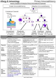 Image result for Humoral Immunodeficiency