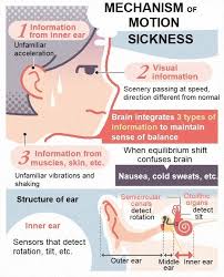 Image result for Motion Sickness