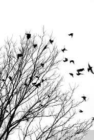 Flying Birds Sticker Pixers We Live To Change In 2020 Flying Bird Silhouette Black And White Birds Birds Flying