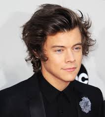 He's released the solo albums harry styles and fine line. Harry Styles Quotes 2013 Quotesgram