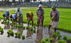PLFS: Govt Must Address Needs of Agri Labour Force Beyond Insurance, Meagre Pensions | NewsClick