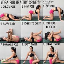 Yogaburnsuccess On Instagram What Are Yoga Poses For Healthy Spine Roxanne Yoga Thanks For Sh Easy Yoga Workouts Yoga For Beginners Easy Yoga