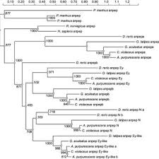 Donovan P. German's research works