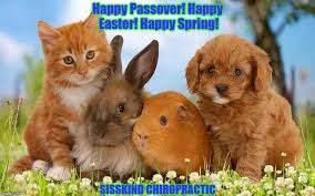 Happy Passover Happy Easter Happy Spring Imgflip