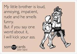 Image From Http Cdn Someecards Com Someecards Usercards Mjaxmy0zmtlmmdu1mtm3zwzkmzvj Png Brother Quotes Little Brothers Annoyed