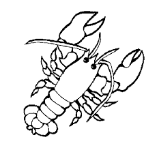 These are suitable for preschool, kindergarten and primary school. Lobster Coloring Page Coloringcrew Com