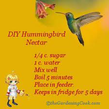 Making your own hummingbird nectar can seem like a chore if you have to mix up a new batch frequently to constantly refill feeders. Diy Humming Bird Nectar Humming Bird Feeders Hummingbird Nectar Bird Garden