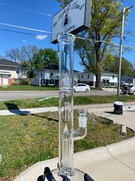 Image result for tbn:vEmMx471ZyjYUM::gallery.khleeg.com/upload/1248936039%255B0%255D.jpg