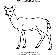 On this page we provided and updated printable christmas card for kids, for everyone to. Deer Coloring Page 2011 08 25 Coloring Page