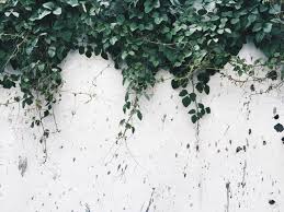 | see more about grunge, pink and background. White Aesthetic Background Desktop 2021