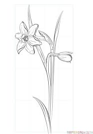 30 Flower Drawing Tutorials Diy Projects For Teens 966x1024 rose drawings with vines drawn vine pencil drawing. 30 flower drawing tutorials diy