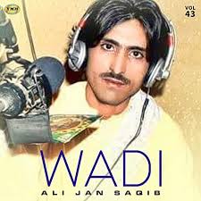 Reproducir Wadi, Vol. 43 de Ali Jan Saqib en Amazon Music