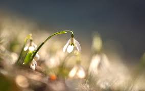 Mediile valorilor termice vor fi ușor mai coborâte decât cele specifice acestei săptămâni în jumătatea estică a țării, iar în rest vor fi apropiate de cele normale pentru această perioadă. Prognoza Meteo MarÈi 5 Martie 2019 Vremea In BucureÈti ConstanÈa IaÈi Èi Cluj Temperaturi In CreÈtere Stiri Mondene