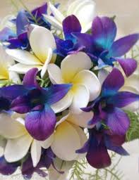 Blue Purple Orchids Frangipani Real Touch Bridal Bouquet Set Blue Orchid Bouquet Bridal Bouquet Sets Blue And Purple Orchids