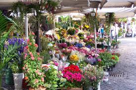 Visualizza altre idee su fiori, immagini, floreale. Campo Dei Fiori Market The Field Of Flowers Rome Travel Guide Campo Dei Fiori Market The Field Of Flowers Rome Travel Guide