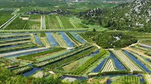 Those seeking to invest in agriculture in malaysia should be keen on the requirements imposed by each state in malaysia before investing. Farmlandgrab Org Eu To Extend Ban On Sale Of Croatian Farmland To Foreigners