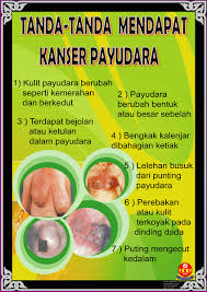 Pesakit kanser payudara berpotensi untuk sembuh jika berada di tahap awal. House Of Aafiyat Lifestyle O L I V E H O U S E Minyak Zaitun Kanser Payudara