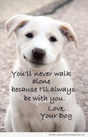Dog Walking Quotes Quotesgram Dog Quotes Dog Love I Love Dogs