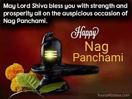 Find the perfect nag panchami stock photos and editorial news pictures from getty images. X Nx9ygeosusxm