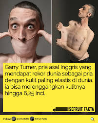 Sefruit Fakta