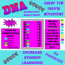 Complementary base pairing in the largest biology dictionary online. Dna Base Pairing Worksheets Teaching Resources Tpt