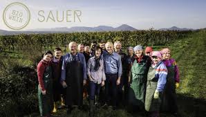 weingut sauer preisliste for sale