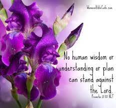 Proverbs 21 30 Iris Flowers Flowers Violet Flower