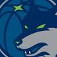 Iowa Wolves vs. Osceola Magic