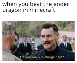 Are You Really In Charge Here Memes