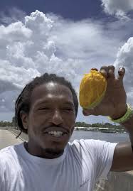 How to Know If A Mango Is Ready to Be Picked Off Tree